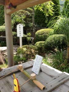 nagominoyoneya2